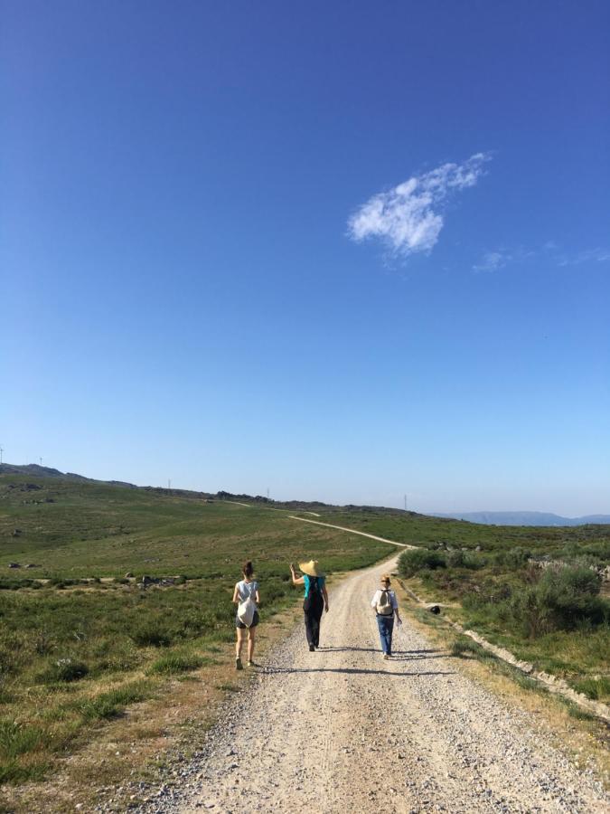 A Padaria Farmhouse Cinfães Dış mekan fotoğraf
